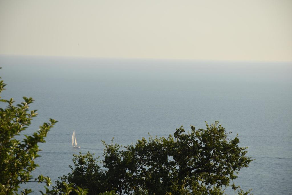 Villa Coast Of Montenegro Бар Екстериор снимка